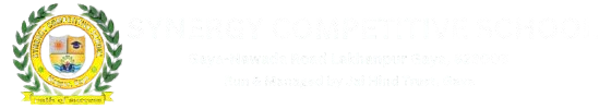 SYNERGY COMPETITIVE SCHOOL Logo
