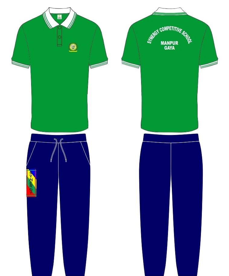 SYNERGY COMPETITIVE SCHOOL